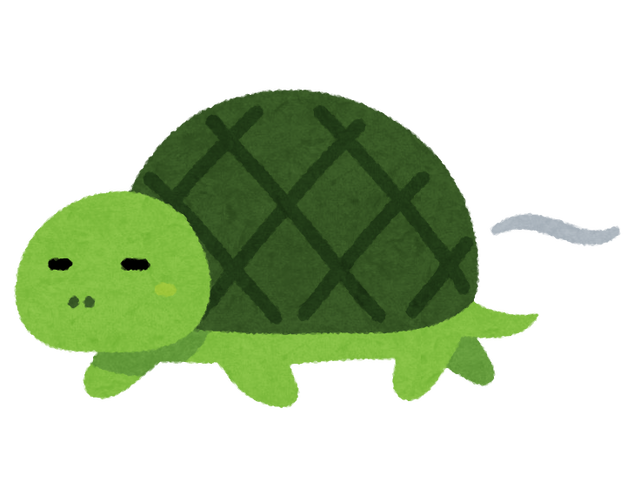 speed_slow_turtle